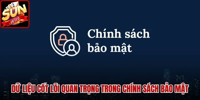 Chính Sách Bảo Mật SUNWIN - Thông Tin An Toàn Hàng Đầu | Hình số 1 Dữ liệu cốt lõi quan trọng trong Chính Sách Bảo Mật