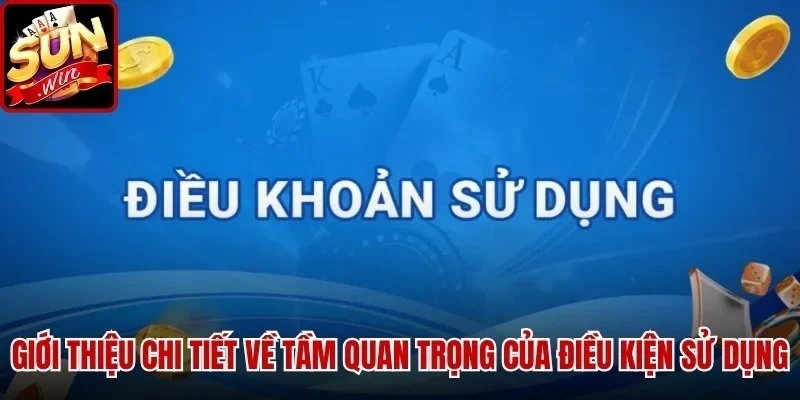 Điều Kiện Sử Dụng SUNWIN - Dịch Vụ Giải Trí Trực Tuyến Mới Nhất | Hình số 1 Giới thiệu chi tiết về tầm quan trọng của Điều Kiện Sử Dụng