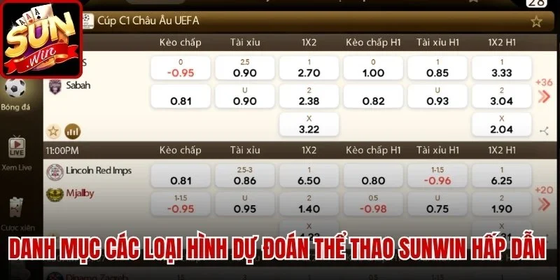 Danh mục các loại hình dự đoán Thể Thao Sunwin hấp dẫn 