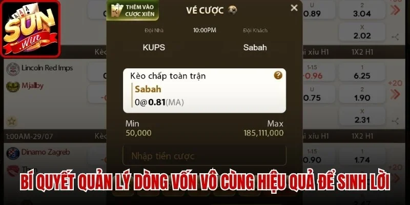 Bí quyết quản lý dòng vốn vô cùng hiệu quả để sinh lời